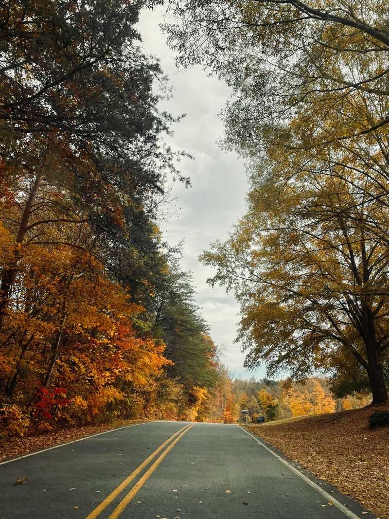 Road Trips Actually Make Sense