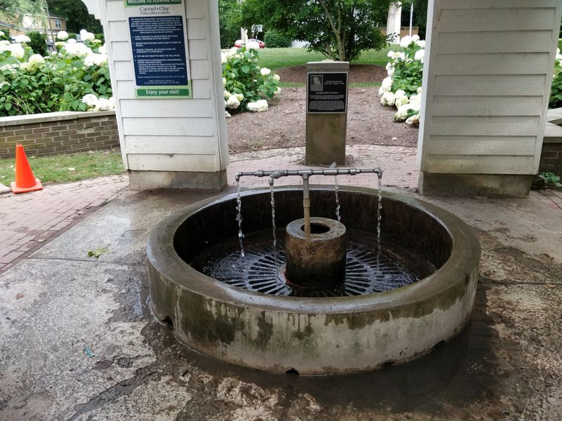 A Free Resource In An Increasingly Expensive World