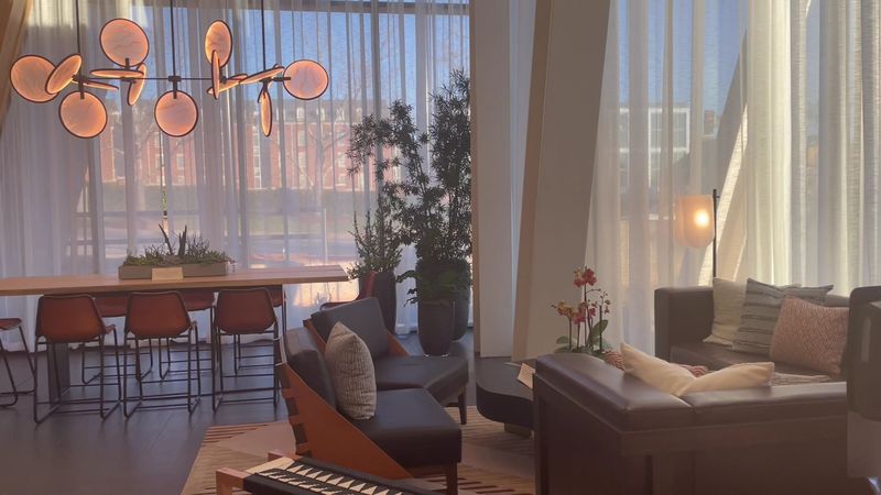 The Vibe That Brings It All Together