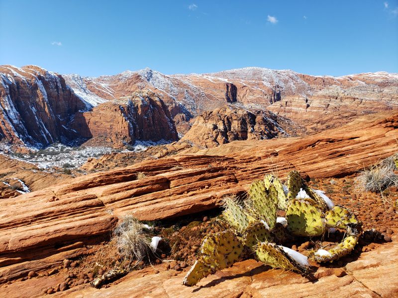 Why Desert Parks Feel More Intimate In Winter