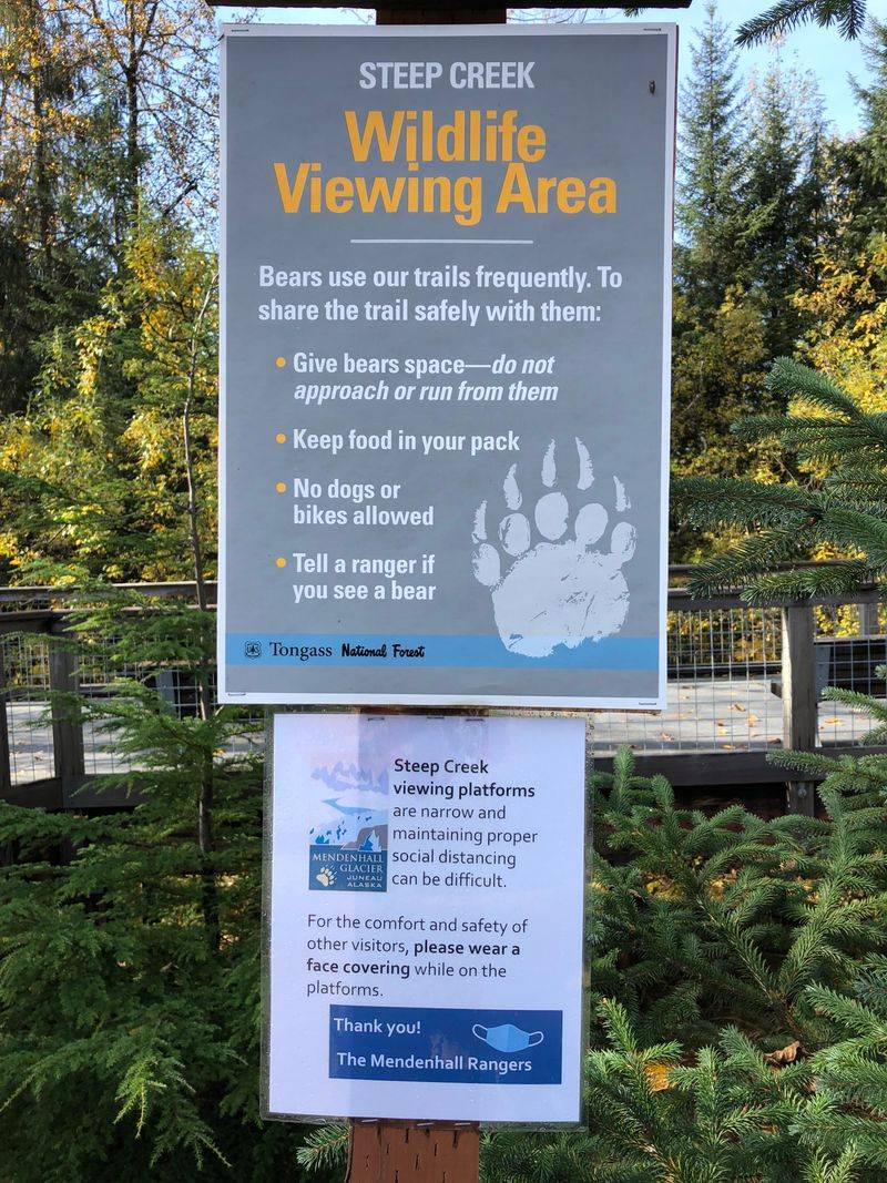 Raised Walkways Make Viewing Easier