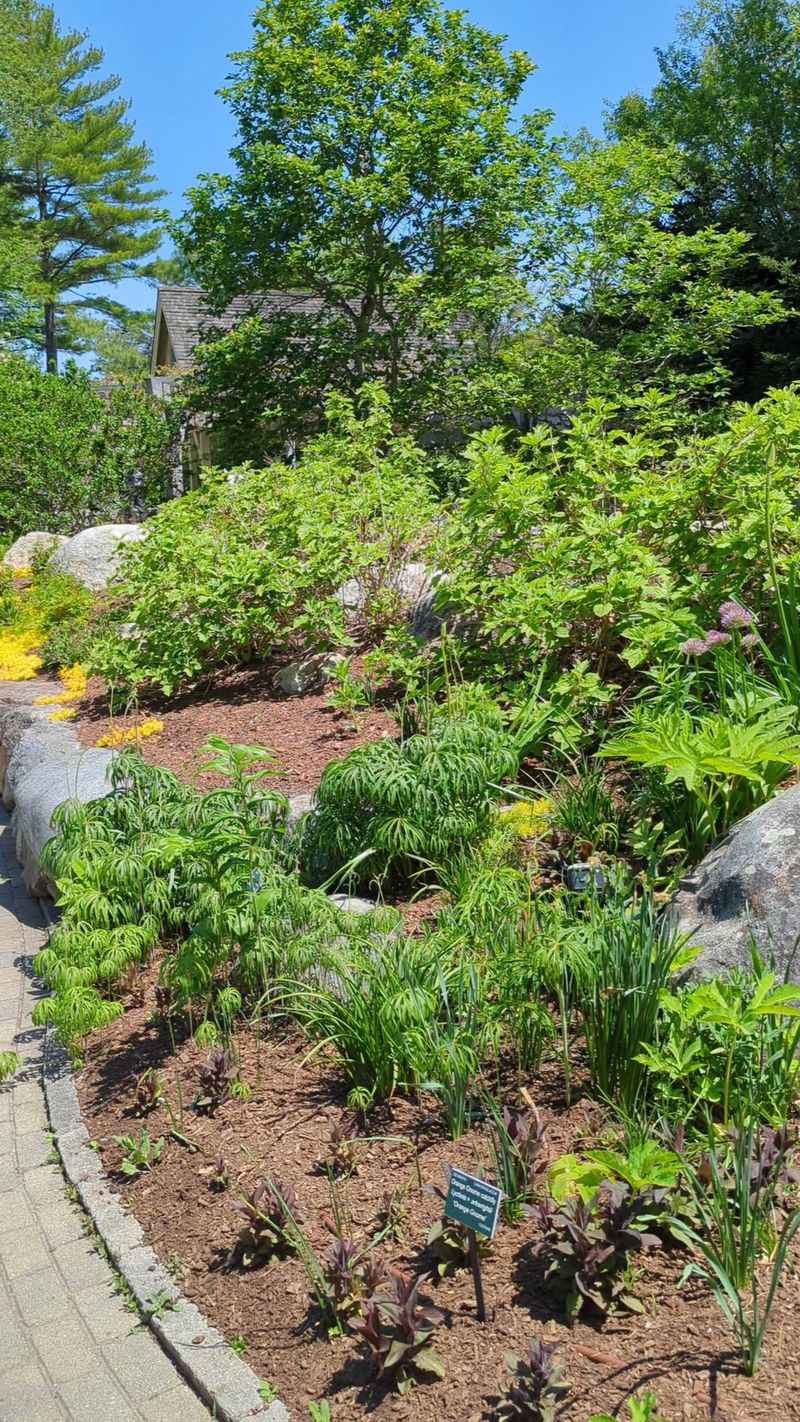 Lerner Garden Of The Five Senses