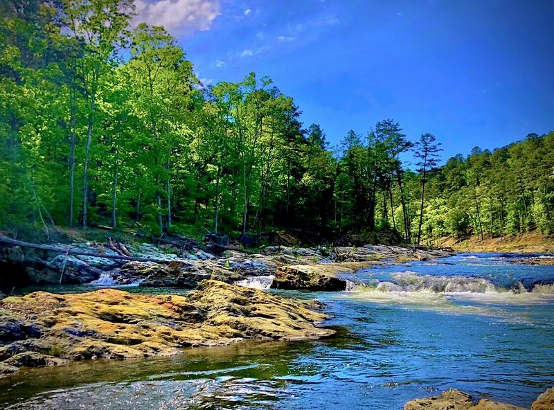 Local Markets And Fresh Produce