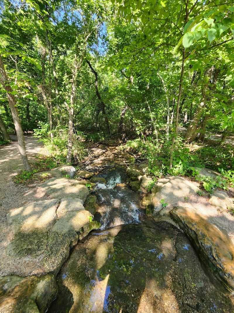 The Trail That Earns Its Views