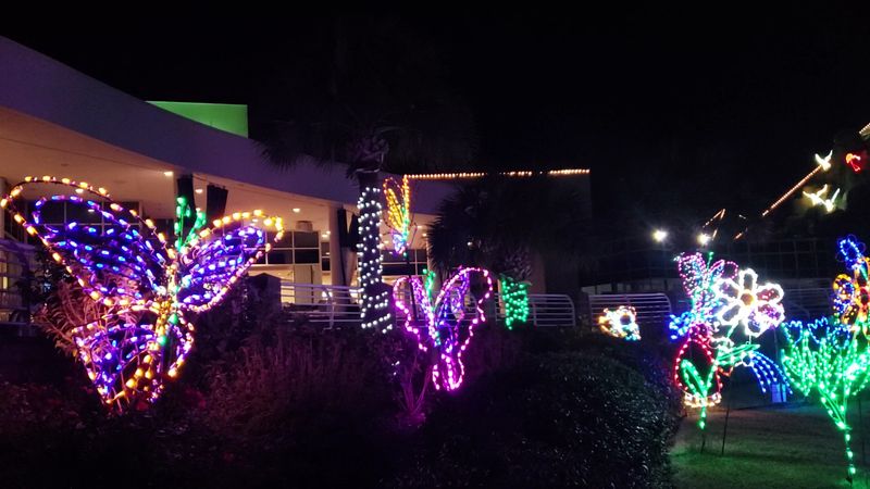 Festival of Lights Transforms Winter Evenings