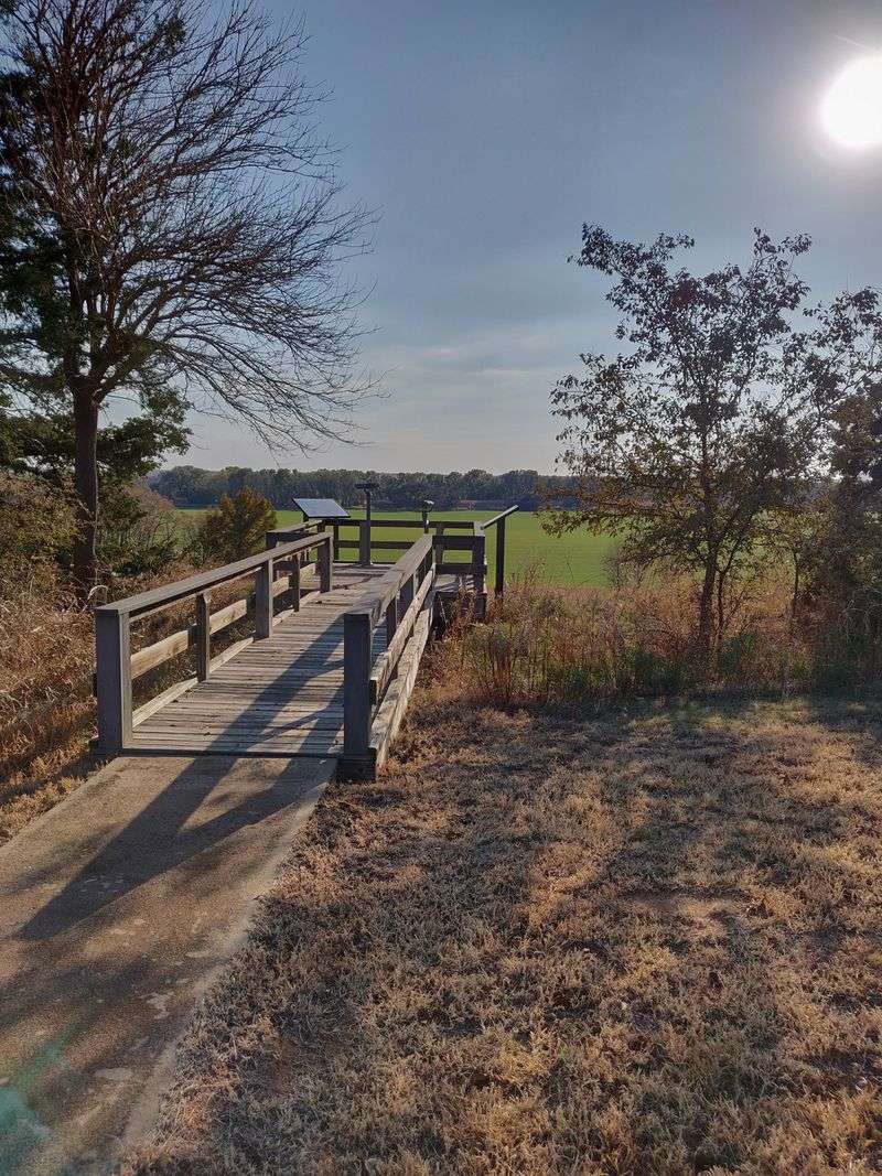 Locals Have Given Up and Moved On