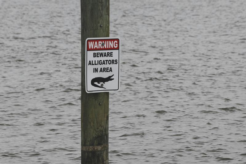 Safety Risks On Unregulated Swamp Tours Safety Risks On Unregulated Swamp Tours
