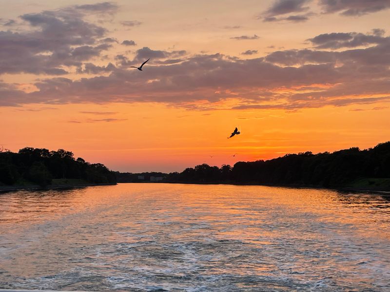 Sunset Cruises That Paint the Sky