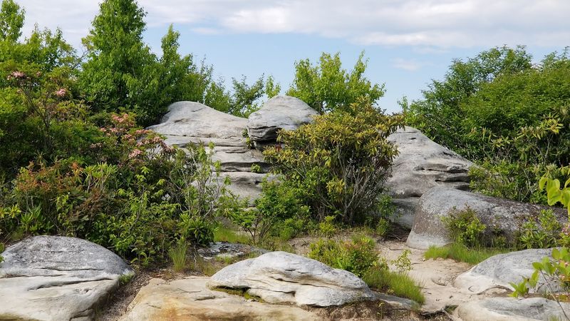 The Channels Natural Rock Maze