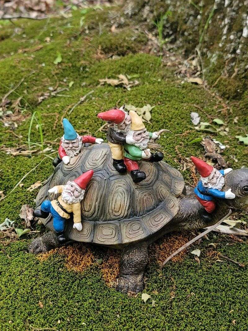 Ridge And Valley Conservancy Stewardship