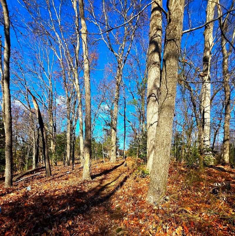 A Hidden Gem Worth Discovering Again and Again