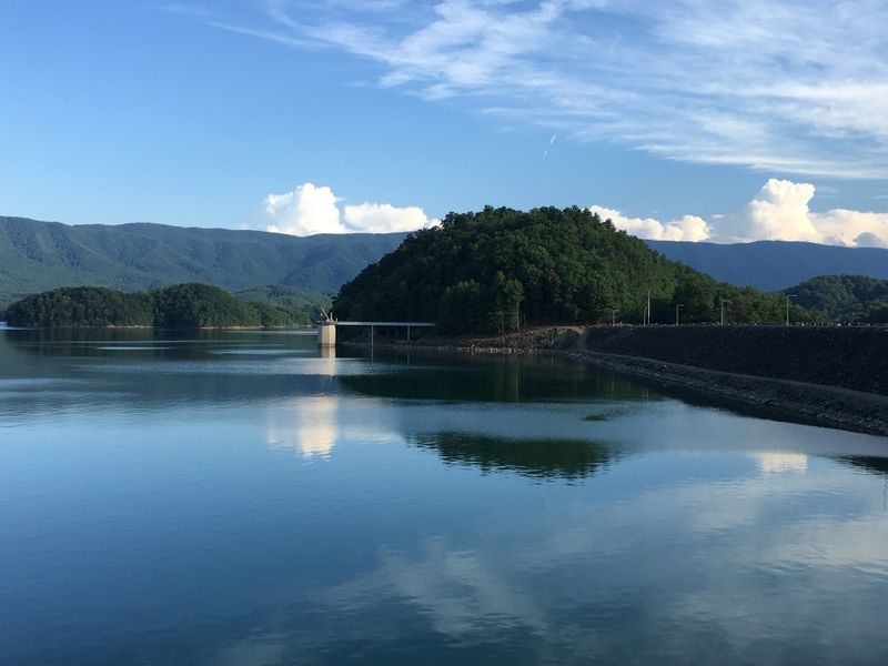 Year-Round Beauty That Rewards Every Season