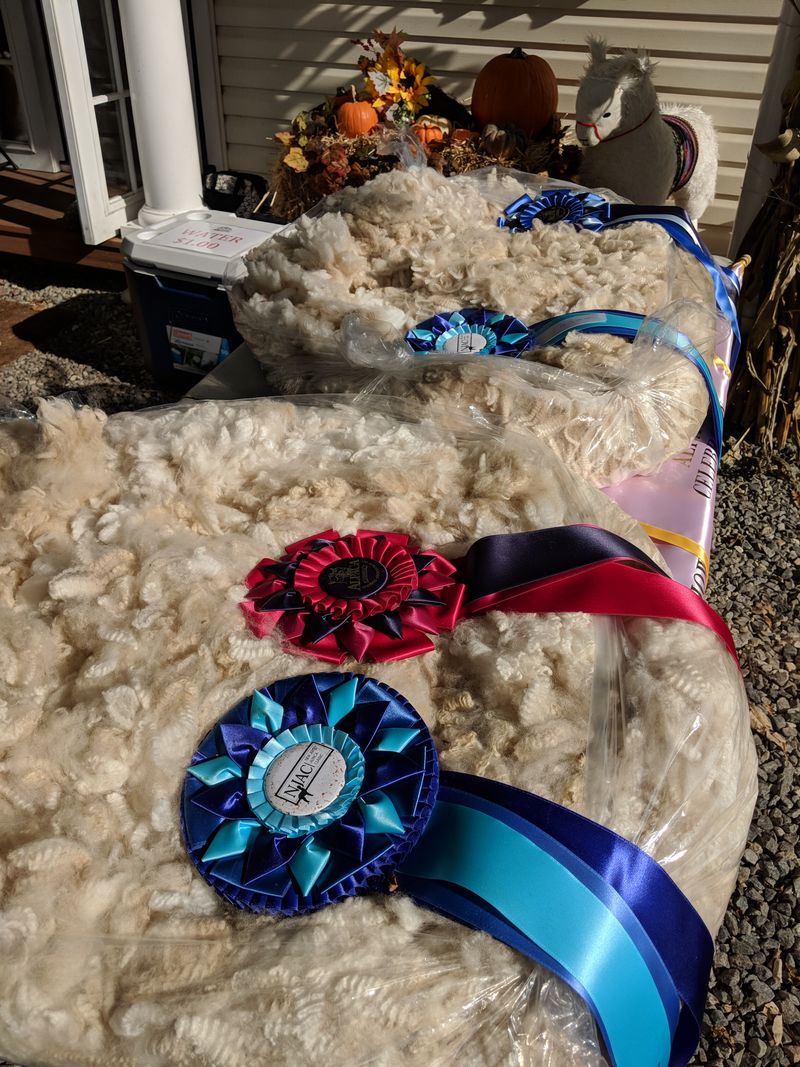 Supporting Sustainable Agriculture And Animal Welfare