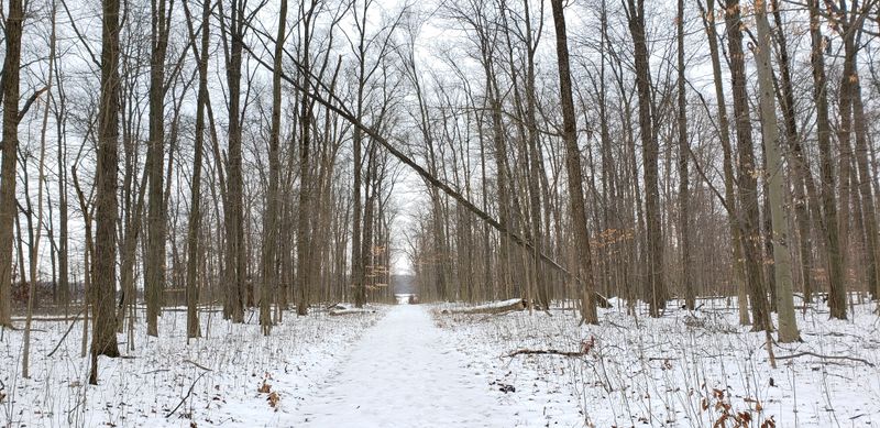 Peaceful Atmosphere with Minimal Crowd Pressure