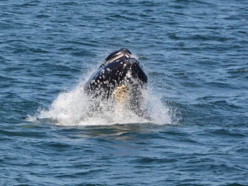 Unbeatable Value That Keeps Guests Returning