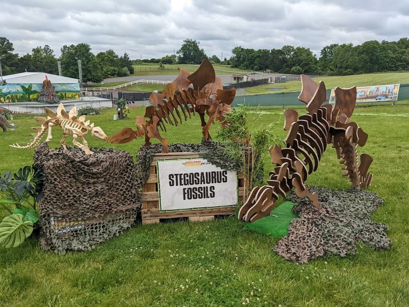 Interactive Audio Experience Through Car Radio