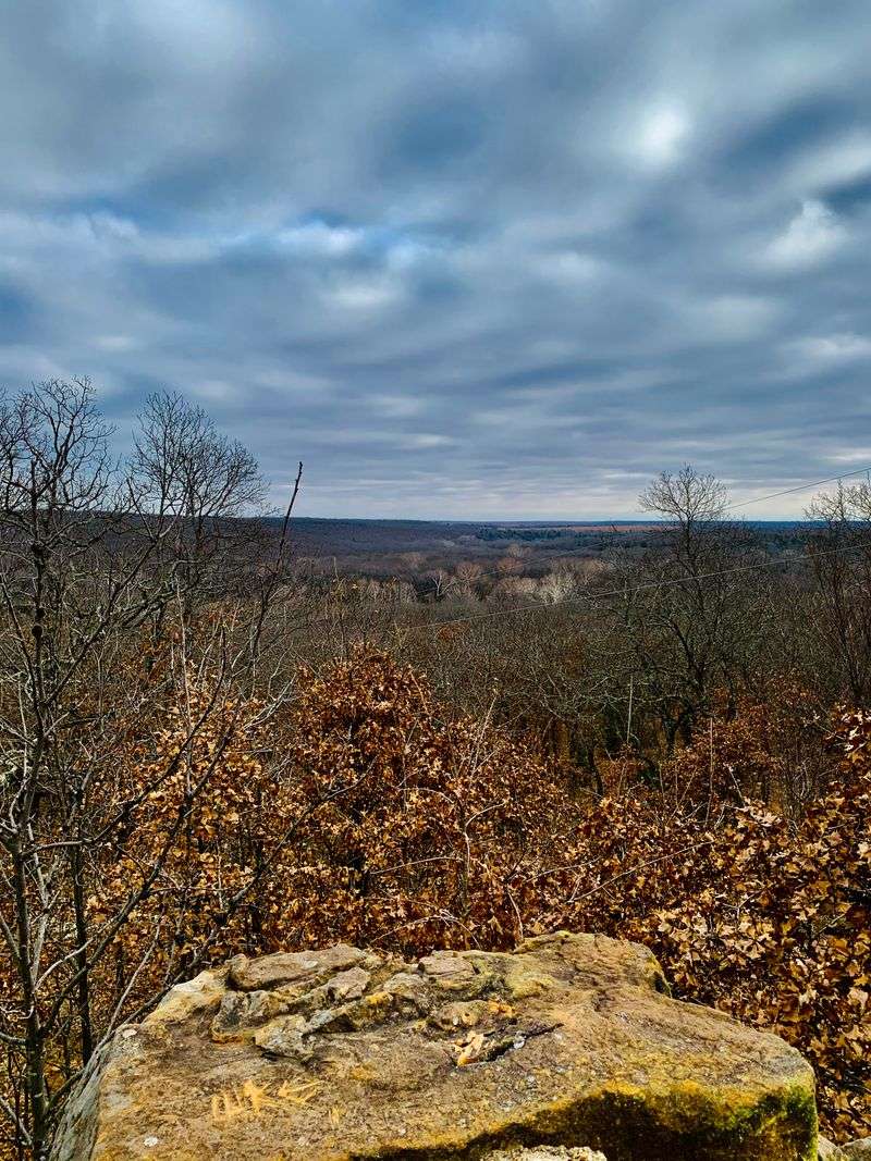 The Enclosed Woodland Stretch