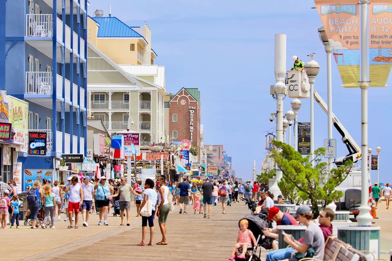 The Family-Friendly Atmosphere