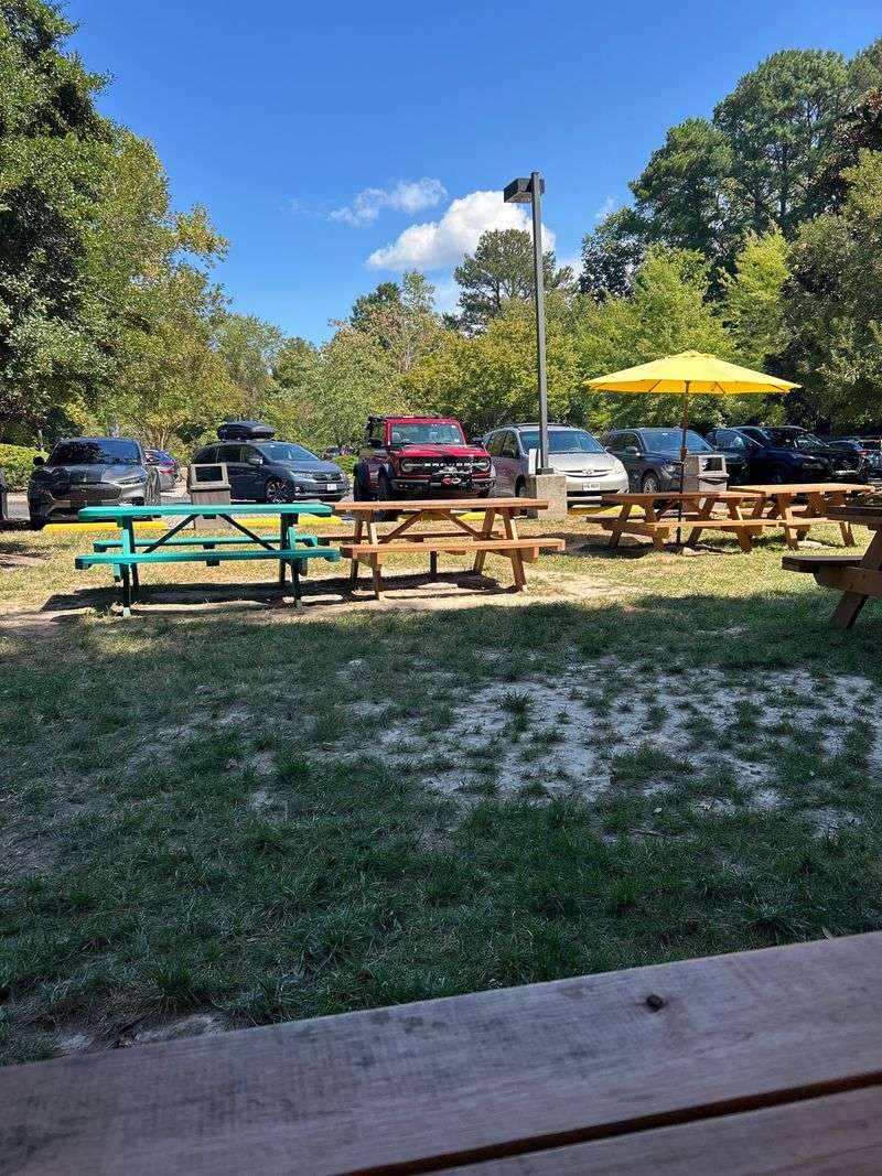 Picnic Table Paradise