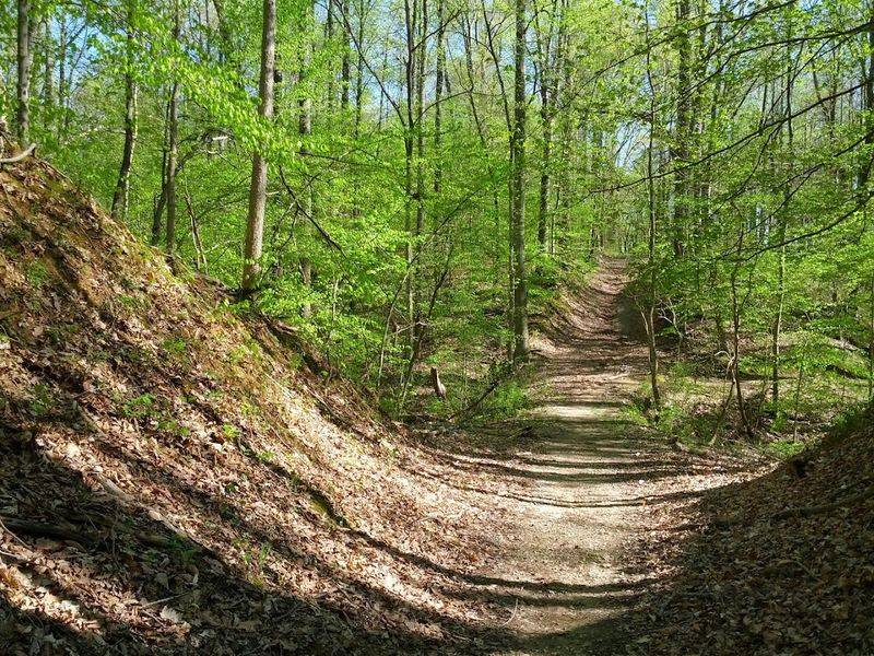 Mountain Biking Trails That Challenge and Reward in Equal Measure