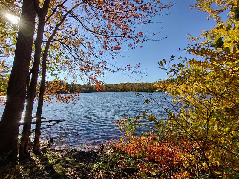 Hiking Trails Wind Through Diverse Landscapes and Seasons
