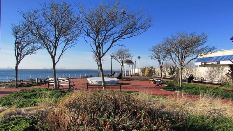 Big Tree Trail Discovery