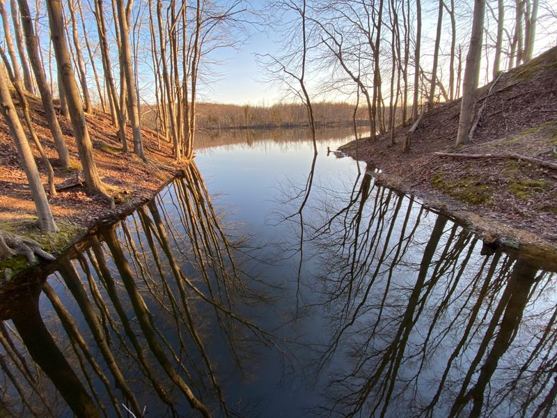 Cranbury Brook Preserve for Trail Therapy