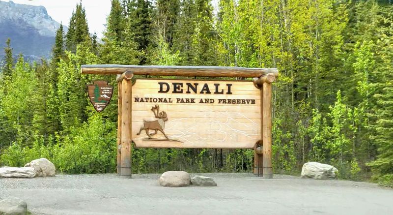 Denali National Park And Preserve