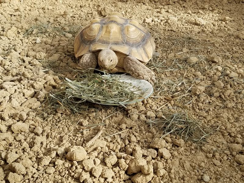 Nature Center Worth Exploring