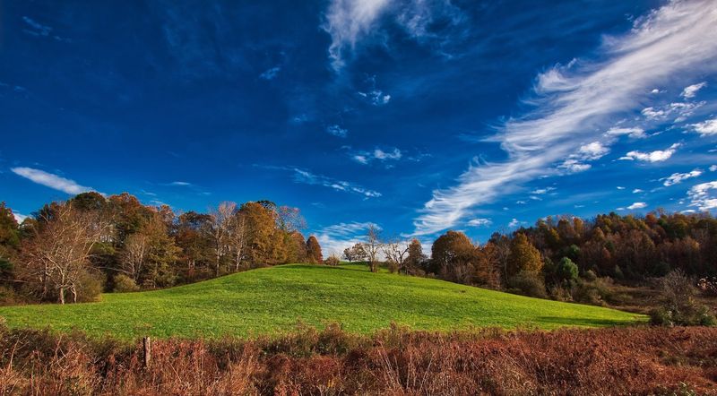 Seasonal Beauty Transforms Landscape Year Round