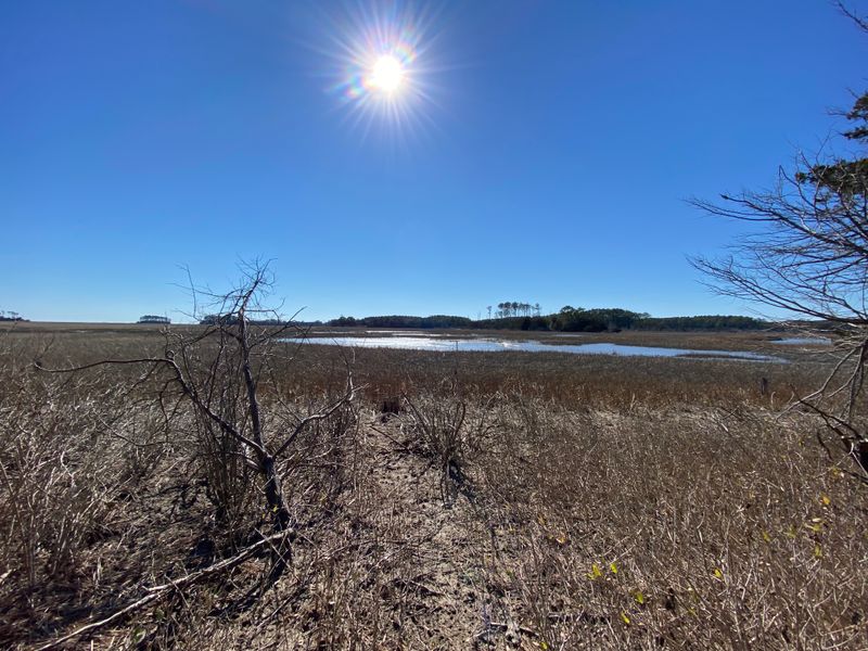 Virginia Birding And Wildlife Trail Coastal Route, Virginia