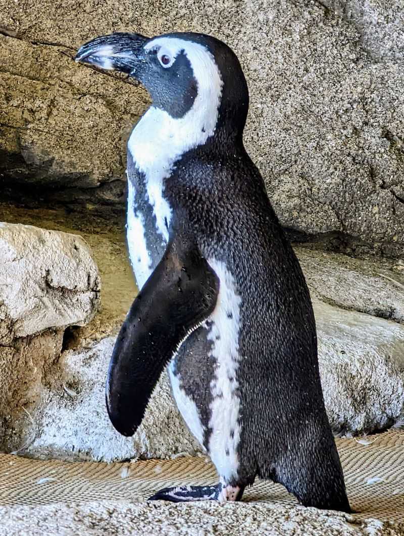 A Calm Finish With One Last Scenic View