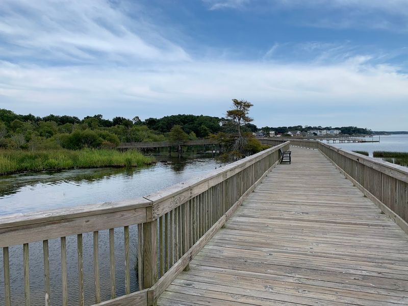 Duck Soundside Boardwalk 