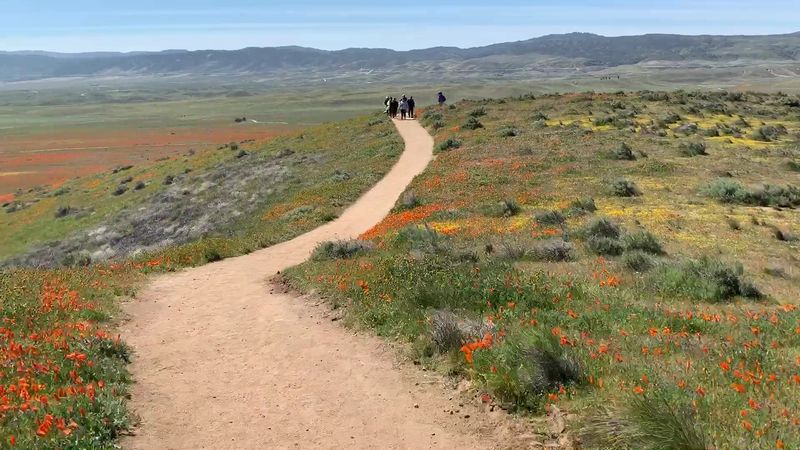 Foot Traffic Leaves Designated Trails Constantly