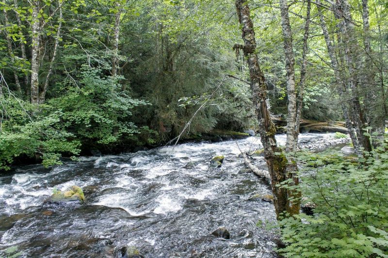 A Different Side of Oregon