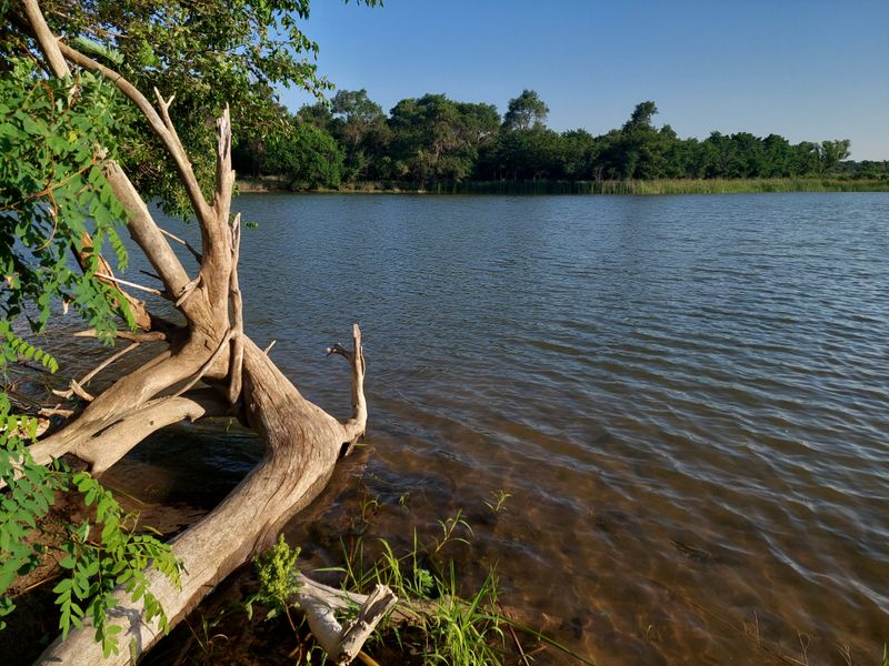 Primitive Camping Experience on Federal Land