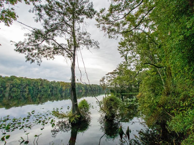 Lower Suwannee National Wildlife Refuge
