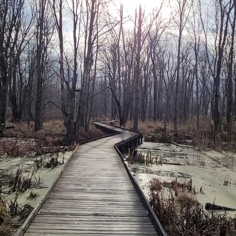 Maumee Bay Boardwalk Trails