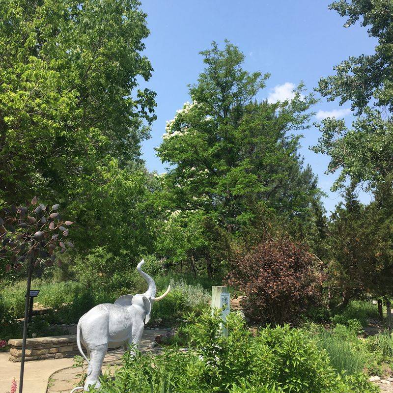 Yellowstone Arboretum