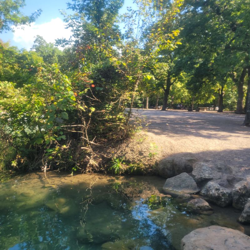 The Picnic Areas Lost Their Family-Friendly Atmosphere