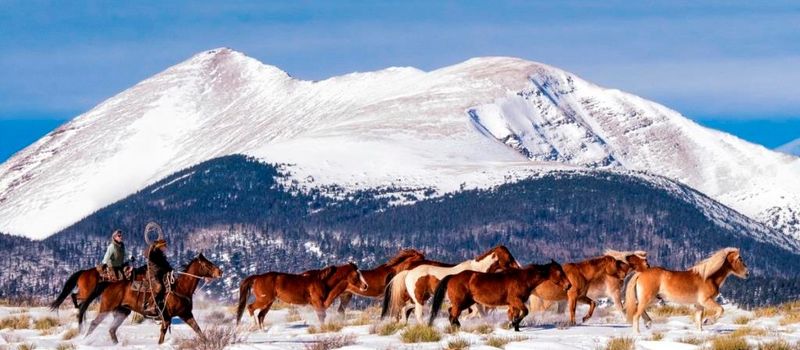 Day Two Morning: Frosty Farm Roads And Slow Starts