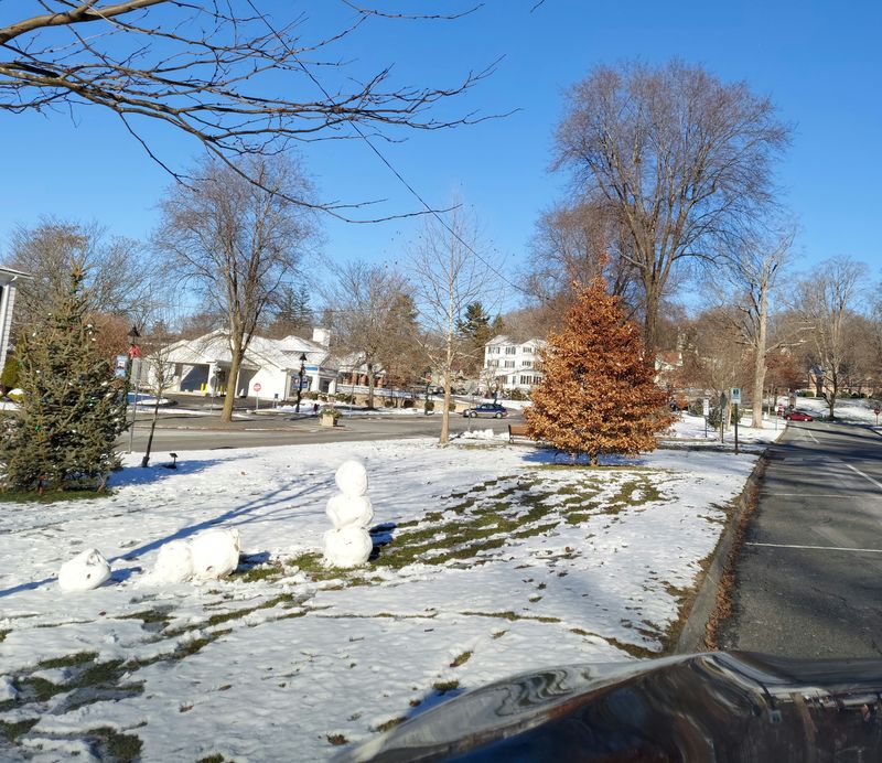 Day One Midday: A Long Lunch Near A Village Green With Frosted Trees