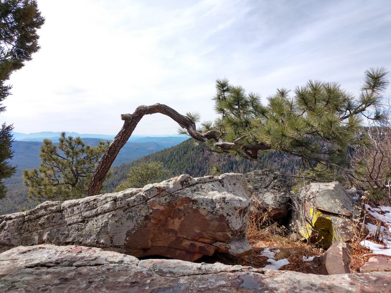 Canyon Pull-Overs Near The Rim Country For Icy River Glimpses