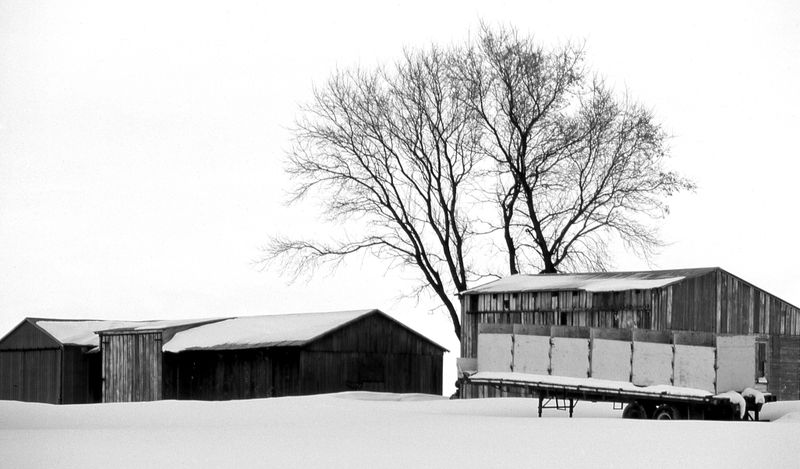 Day Two Midday: Country Lunch After White Oak Farm