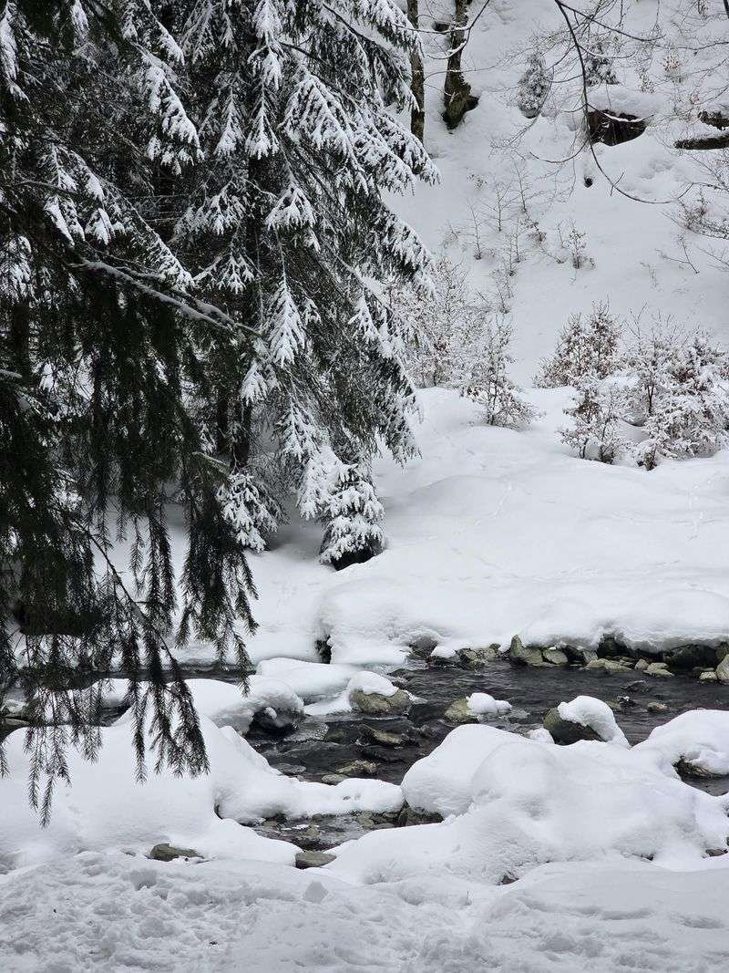 Day Two Midday: Final Village Lunch By A River Or Green