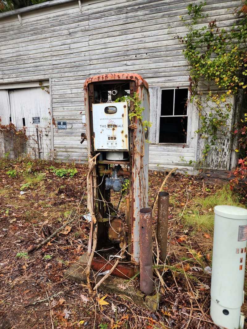 The Overgrown Town Square