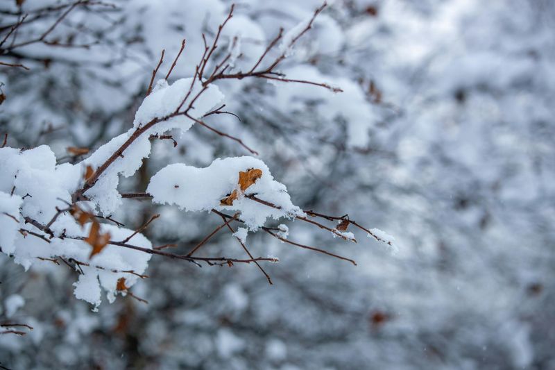 Winter Weather That Can Disrupt Plans Winter Weather That Can Disrupt Plans