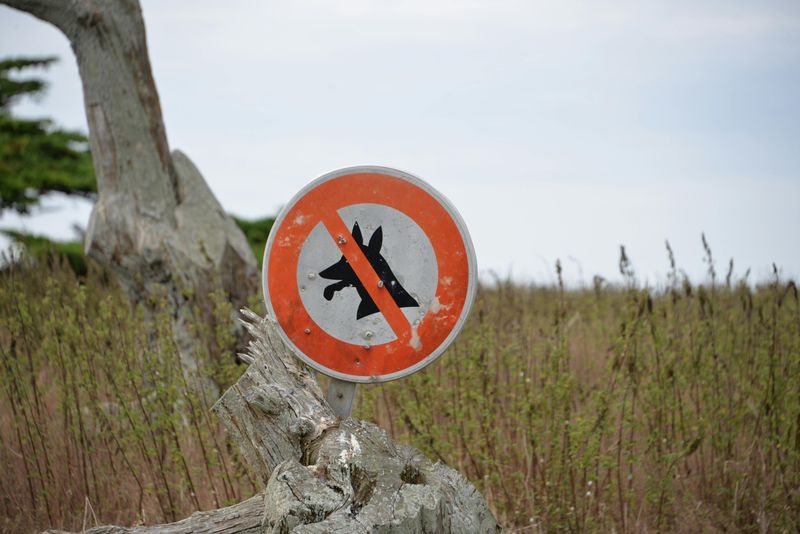 Spotlighting Animals Is Restricted