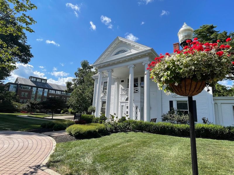 Spring Walks When Everything Looks Fresh And Bright