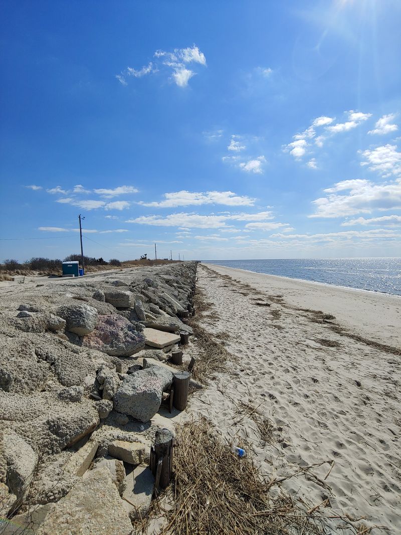 Downe Township, New Jersey